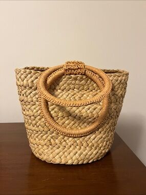 L*Space Straw Raffia Handbag